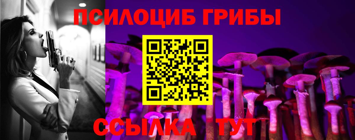 Псилоцибиновые грибы мицелий  Псилоцибиновые грибы ЛСД  Тобольск  Вход с VPN 